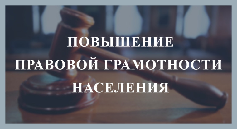 Социальные видеоролики для правового просвещения населения.